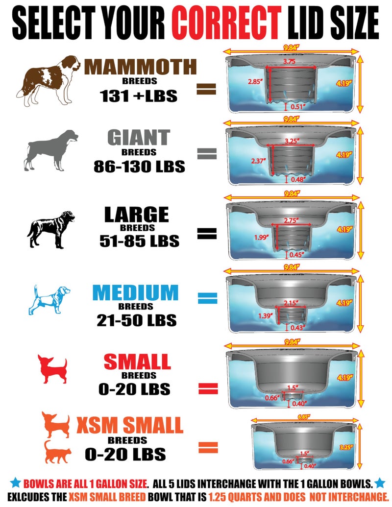Slopper Stopper Dripless Water Bowls - Stainless Steel Bowl Unit - for Large Breed Dogs 51-85 Lbs, 9.84â€ Dia, 1 Gallon Capacity - Image 2